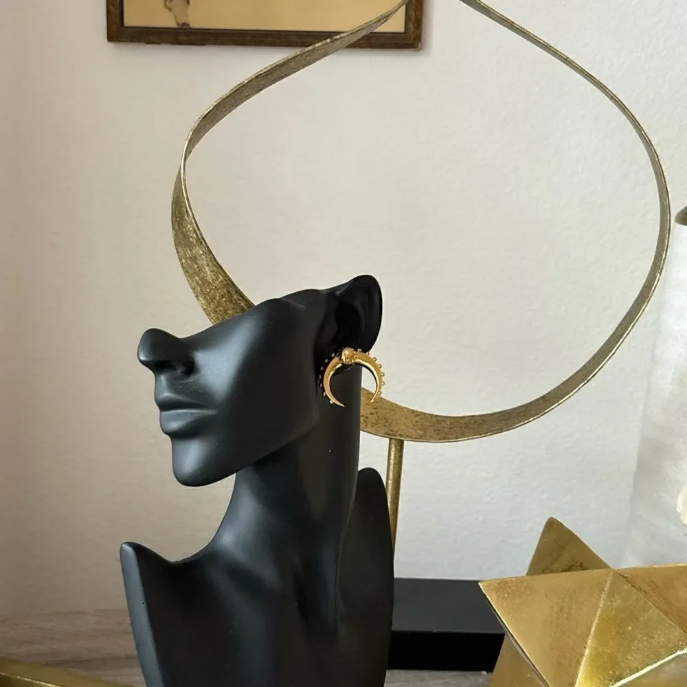 Statement earrings N737